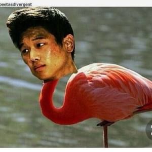 Meet your Posher, Alexis